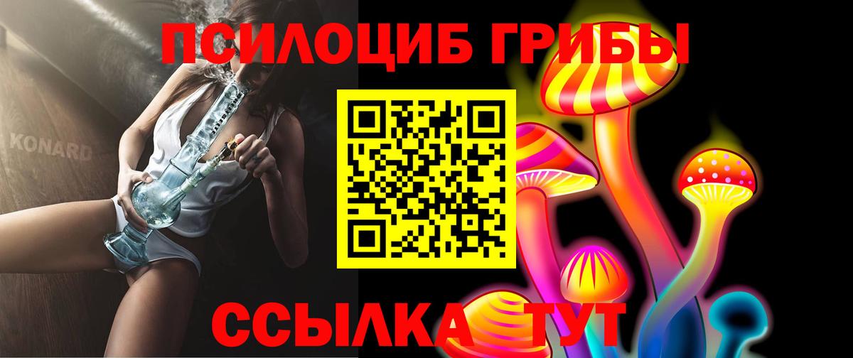 Псилоцибиновые грибы мицелий Екатеринбург